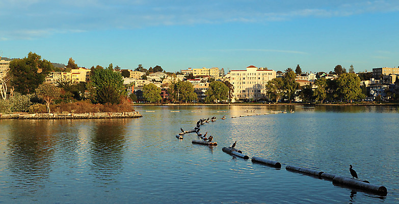 포토 JPG 해외이미지 나무 건축물 호수 여행 조류 하늘 파노라마 풍경 사람없음 야외 건물 가로 물 도시풍경 미국 도시 도심 통나무 캘리포니아 동쪽 스카이라인 해외202004 해외포토 자연요소 식물 동물 건축 북아메리카 촬영기법 방향 파일형식 이미지허브