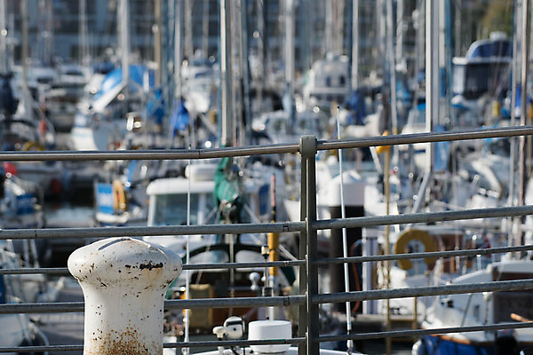 포토 JPG 해외이미지 바다 요트 조류 휴가 사람없음 물 여름 강 항구 보트 방파제 뱃놀이 해외202004 해외포토 자연요소 동물 계절 공공시설 배_교통 교통시설 전통놀이 파일형식 이미지허브