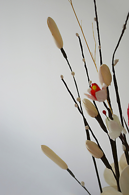 포토 JPG 해외이미지 디자인 꽃 줄기 잎 패턴 사람없음 장식 벚꽃 나뭇가지 자르기 거짓 발명 해외202004 해외포토 나무 식물 무늬 모션 파일형식 이미지허브