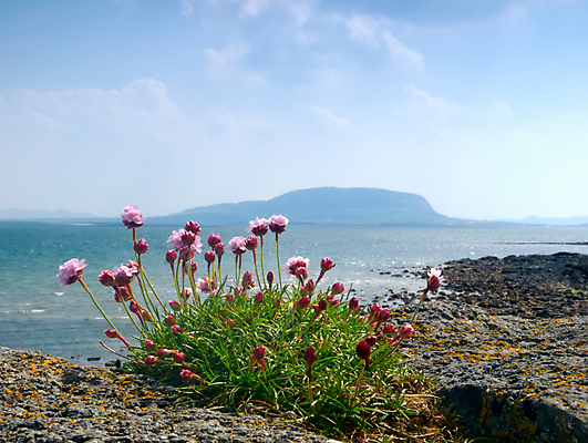 포토 JPG 해외이미지 공원 모래 파도 바다 자연 하늘 사람없음 물 여름 암초 해외202004 해외포토 자연요소 계절 공공시설 생태계 파일형식 이미지허브