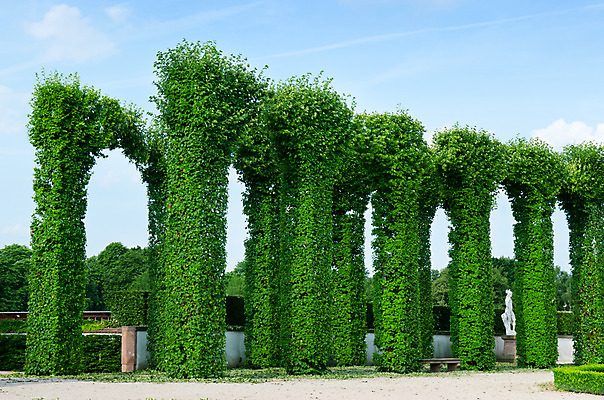 포토 JPG 해외이미지 나무 식물 구름 디자인 공원 꽃 도로 길 벽 백그라운드 잎 패턴 자연 하늘 풍경 잔디 사람없음 야외 목재 장식 초록색 여름 파란색 울타리 정원 봄 산책 산책로 도시 재산 쇼핑몰 관목 방법 해외202004 해외포토 자연요소 계절 공공시설 컬러 무늬 재료 교통시설 휴식 금융 담장 생태계 파일형식 이미지허브