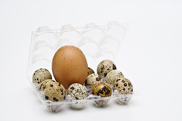 포토 JPG 해외이미지 산업 음식 오렌지 비즈니스 재료 조류 건강 요리 사람없음 농장 노란색 판매 계란 치킨 가축 페인트 껍질 잡기 점 원형 상품 사건 수집 날것 노른자 부화 오믈렛 수탉 깨짐 단백질 단절 메추리 암탉 적자 취급주의 해외202004 해외포토 도형 동물 컬러 컨셉 농업 과일 모션 경고 알 닭 암컷 계란요리 수컷 닭고기요리 영양소 파일형식 이미지허브