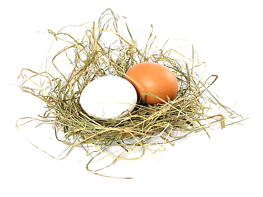 포토 JPG 해외이미지 전통 계절 꽃 문화 음식 2 휴가 부활절 사람없음 장식 컬러풀 노란색 계란 봄 껍질 흰색 축하 축복 둥지 아침식사 심볼 거베라 고립 삶기 취급주의 해외202004 해외포토 식물 기념일 컬러 컨셉 경고 알 식사 파일형식 이미지허브