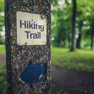 포토 JPG 해외이미지 나무 공원 길 여행 컨셉 자국 자연 화살 이끼 취미 사람없음 야외 목재 초록색 운동 걷기 봄 산책 트래킹 하이킹 젖음 수확 시골 표지판 황무지 숲 오솔길 방향 배낭여행 사인 복고 시들음 내추럴 그런지 방법 옛날 필터 효과 해외202004 해외포토 식물 계절 공공시설 컬러 농업 재료 모션 레저 휴식 알림판 건강 생태계 파일형식 이미지허브