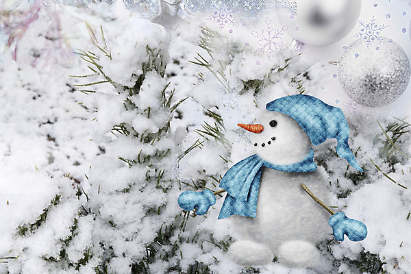 포토 JPG 해외이미지 나무 계절 크리스마스 겨울 자연 눈사람 날씨 휴가 새해 풍경 사람없음 야외 파란색 빛 얼음 침묵 추위 흰색 나뭇가지 시골 도시 소나무 투명 고독 숲 12월 서리 정사각형 침엽수 겨울풍경 해외202004 해외포토 자연요소 도형 식물 기념일 감정 컬러 소리 날짜 생태계 파일형식 이미지허브