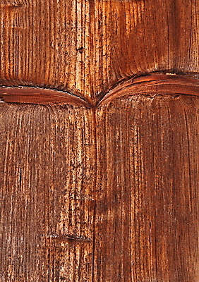 포토 JPG 해외이미지 디자인 벽 백그라운드 패턴 자연 탁자 표면 날씨 추상 바닥 사람없음 목재 장식 갈색 어둠 나뭇가지 판넬 널 책상 묘사 질감 복고 잡동사니 내추럴 그런지 수목 옛날 가문비나무 해외202004 해외포토 나무 컬러 가구 무늬 재료 생태계 파일형식 이미지허브