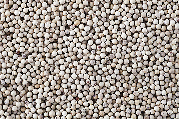 포토 JPG 해외이미지 음식 백그라운드 재료 건조 요리 씨앗 사람없음 검은색 양념 조미료 맛 향신료 질감 매움 아로마 후추 해외202004 해외포토 식물 컬러 컨셉 향미료 파일형식 이미지허브