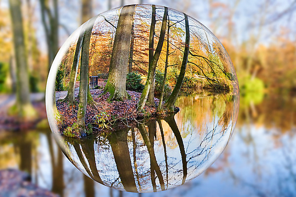 포토 JPG 해외이미지 나무 식물 계절 공원 호수 백그라운드 자연 유리 하늘 풍경 사람없음 목재 물 빛 컬러풀 반사 평화 환경 침묵 활발 거울 가을 나뭇가지 연못 원형 투명 숲 11월 크리스탈 네덜란드 장면 10월 내추럴 여의주 왜곡 해외202004 해외포토 자연요소 도형 공공시설 유럽 컬러 컨셉 재료 재질 소리 날짜 광석 생태계 파일형식 이미지허브