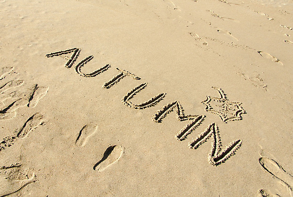 포토 JPG 해외이미지 캐릭터 디자인 계절 모래 파도 바다 여행 백그라운드 컨셉 텍스트 자연 추상 휴가 아이디어 사람없음 야외 물 여름 단어 모래사장 햇빛 태양 노란색 가을 기록 그리기 메시지 황금 편지 사인 그림 질감 목각 내추럴 필기체 스타일 해외202004 해외포토 자연요소 문자 컬러 무늬 모션 생태계 파일형식 이미지허브