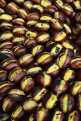 포토 JPG 해외이미지 식물 계절 열매 단풍 잎 자연 사람없음 빨간색 컬러풀 갈색 노란색 환경 할로윈 견과류 성장 껍질 가을 신선 9월 11월 양동이 추수감사절 10월 구성 적갈색 많음 해외202004 해외포토 기독교 컬러 컨셉 날짜 생태계 파일형식 이미지허브