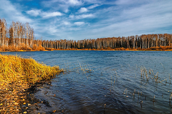 포토 JPG 해외이미지 나무 구름 계절 공원 호수 자연 하늘 풍경 사람없음 야외 초록색 물 여름 파란색 강 반사 평화 침묵 가을 숲 러시아 강렬 수평선 해외202004 해외포토 자연요소 식물 공공시설 유럽 컬러 컨셉 소리 생태계 파일형식 이미지허브