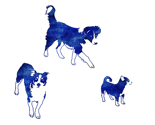 JPG 해외이미지 일러스트 수채화 세마리 사람없음 강아지 그림 해외202004 해외일러스트 3 반려동물 개 파일형식 이미지허브