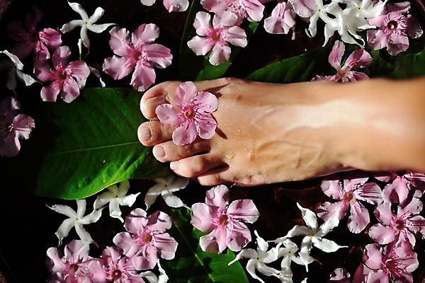 포토 JPG 해외이미지 여자 꽃잎 꽃 분홍색 휴식 사람없음 마사지 사발 손톱관리 손톱 허브 피부 아로마 발가락 아로마테라피 위생관리 페디큐어 해외202004 해외포토 식물 손 컬러 컨셉 발 관리 사람 신체부위 뷰티 사기그릇 네일아트 테라피 파일형식 이미지허브