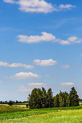포토 JPG 해외이미지 구름 공원 호수 농업 자연 하늘 휴가 산 파노라마 풍경 사람없음 초록색 물 여름 파란색 평화 걷기 마을 검은색 수영 침묵 하이킹 시골 뜨거움 황무지 습지 숲 땅 언덕 장면 사이클링 폴란드 황새 해외202004 해외포토 자연요소 계절 공공시설 유럽 산업 컬러 컨셉 모션 조류 레저 촬영기법 소리 수상스포츠 육상스포츠 생태계 파일형식 이미지허브
