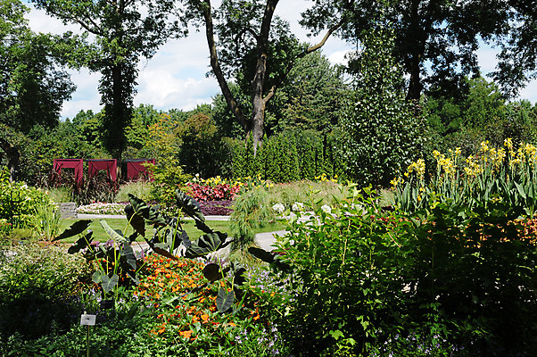 포토 JPG 해외이미지 나무 식물 공원 꽃 캐나다 자연 사람없음 초록색 관광지 정원 몬트리올 해외202004 해외포토 공공시설 컬러 여행 북아메리카 생태계 파일형식 이미지허브