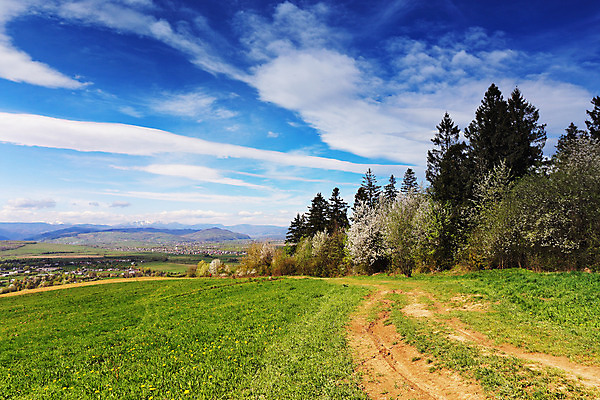 포토 JPG 해외이미지 나무 식물 구름 계절 꽃 도로 길 꽃무늬 밭 자연 하늘 산 주택 풍경 사람없음 야외 초록색 여름 파란색 햇빛 노란색 마을 환경 계곡 맑음 봄 벚꽃 시골 개화 숲 땅 언덕 타운 내추럴 절정 해외202004 해외포토 자연요소 컬러 무늬 농업 교통시설 날씨 건물 태양 도시 생태계 파일형식 이미지허브