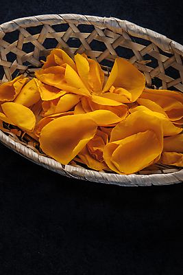 포토 JPG 해외이미지 식물 접시 꽃잎 꽃 백그라운드 잎 자연 탁자 사람없음 세로 파란색 장미 노란색 어둠 벚꽃 흰색 사발 우아함 합성 향기 아로마 취급주의 많음 세련 해외202004 해외포토 식기 컬러 가구 컨셉 경고 사기그릇 생태계 냄새 파일형식 이미지허브