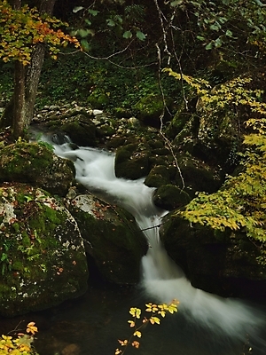 포토 JPG 해외이미지 나무 계절 공원 지구 단풍 잎 자연 국립공원 그림자 풍경 사람없음 야외 목재 초록색 물 강 컬러풀 환경 봄 폭포 흐름 가을 나뭇가지 시골 개울 숲 땅 순수 장면 암초 굴곡 해외202004 해외포토 자연요소 식물 공공시설 컬러 컨셉 재료 생태계 파일형식 이미지허브