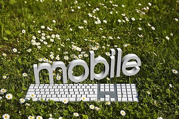 포토 JPG 해외이미지 식물 디자인 꽃 컨셉 잎 꽃무늬 밭 일러스트 텍스트 자연 열쇠 사람없음 야외 초록색 컴퓨터 환경 정원 맑음 봄 시골 타이핑 키보드 신선 데이지 만들기 무료 해외202004 해외포토 계절 컬러 무늬 농업 모션 날씨 전자제품 생태계 파일형식 이미지허브