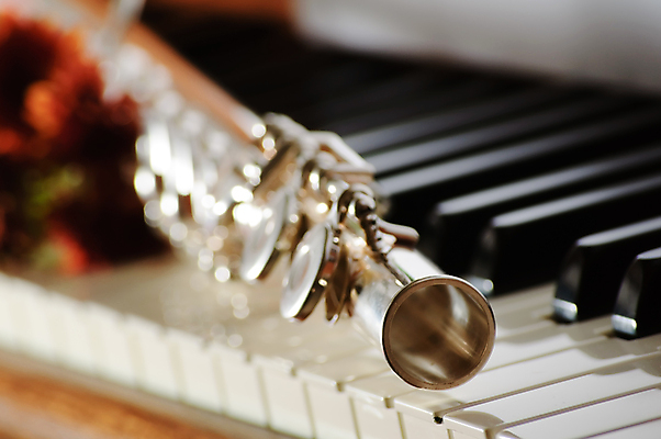 포토 JPG 해외이미지 음악 연주 실내 근접촬영 사람없음 아웃포커스 피아노건반 플루트 해외202004 해외포토 뷰포인트 문화예술 촬영기법 관악기 내부 건반 피아노 파일형식 이미지허브