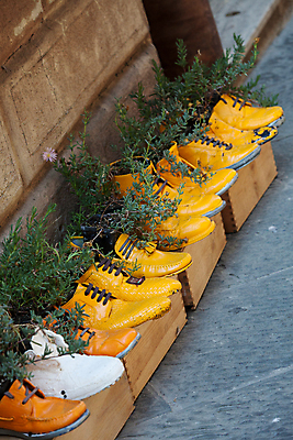 포토 JPG 해외이미지 디자인 꽃 화분 꽃다발 백그라운드 신발 거리 감 선물 사람없음 장식 빨간색 초록색 컬러풀 약 이탈리아 프랑스 가을 냄비 배열 허브 향수 아로마테라피 라벤더 프랑스어 시에나 에센스 옛날 줄서기 토스카나 해외202004 해외포토 식물 문자 계절 유럽 컬러 과일 의학 모션 화장품 솥 테라피 파일형식 이미지허브