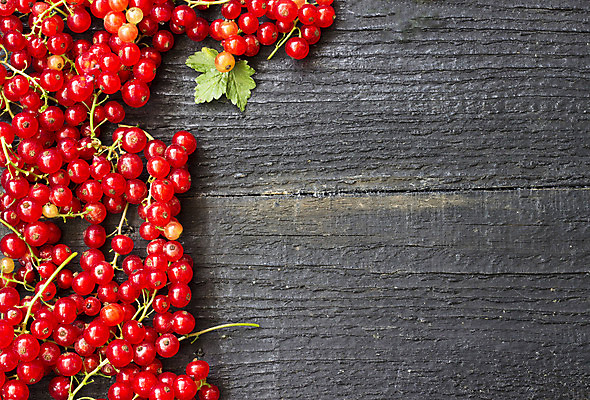 포토 JPG 해외이미지 식물 계절 열매 음식 줄기 백그라운드 다이어트 과일 자연 디저트 건강 사람없음 빨간색 농작물 정원 주스 수확 나뭇가지 신선 그룹 달콤 맛 다발 먹기 날것 건포도 숙성 신맛 채식주의자 해외202004 해외포토 나무 음료 컬러 컨셉 농업 모션 포도 생태계 채식 건과일 파일형식 이미지허브