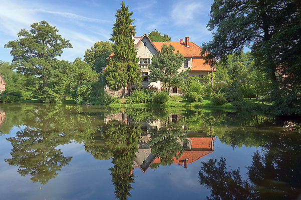 포토 JPG 해외이미지 나무 식물 구름 공원 유럽 호수 건축양식 창문 하늘 지붕 주택 굴뚝 풍경 사람없음 건물 물 탑 궁전 폴란드 해외202004 해외포토 자연요소 건축물 공공시설 건축 나라 고건축 파일형식 이미지허브