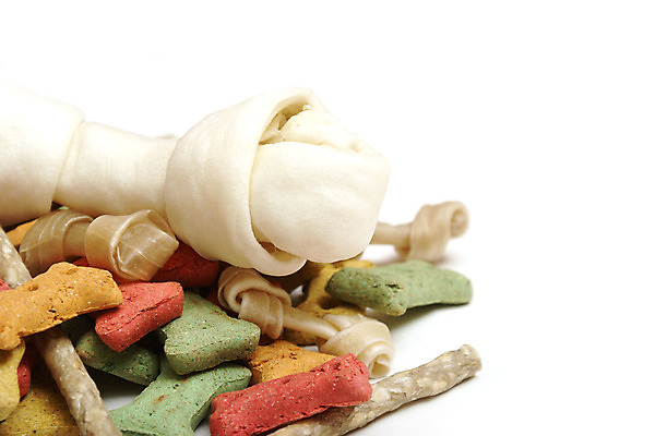 포토 JPG 해외이미지 동물 음식 백그라운드 다이어트 뼈 건강 사람없음 반려동물 갈색 쌓기 흰색 대접 막대기 개 치아 먹기 언덕 송곳니 고립 많음 해외202004 해외포토 컬러 컨셉 포유류 모션 소화기관 파일형식 이미지허브