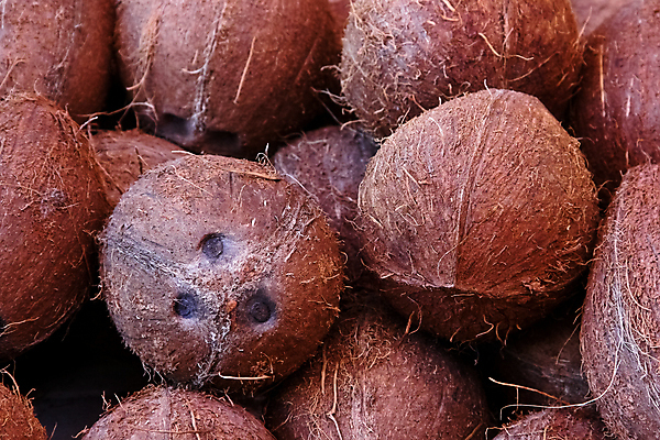 포토 JPG 해외이미지 접시 음식 백그라운드 패턴 과일 자연 탁자 건강 요리 씨앗 사람없음 갈색 주스 견과류 흰색 신선 닫기 달콤 아침식사 밀 가득함 묘사 유기농 질감 코코넛 채식주의자 해외202004 해외포토 식물 식기 웰빙 음료 컬러 가구 무늬 모션 곡류 식사 맛 생태계 채식 파일형식 이미지허브