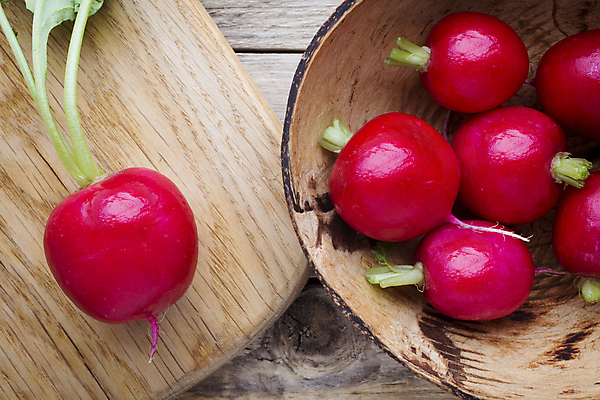 포토 JPG 해외이미지 식물 음식 백그라운드 잎 채소 재료 자연 탁자 건강 사람없음 목재 빨간색 초록색 농작물 성장 신선 작음 다발 먹기 유기농 날것 뿌리 흙더미 숙성 채식주의자 총각무 해외202004 해외포토 나무 웰빙 컬러 가구 농업 모션 흙 크기 무 생태계 채식 파일형식 더미 이미지허브