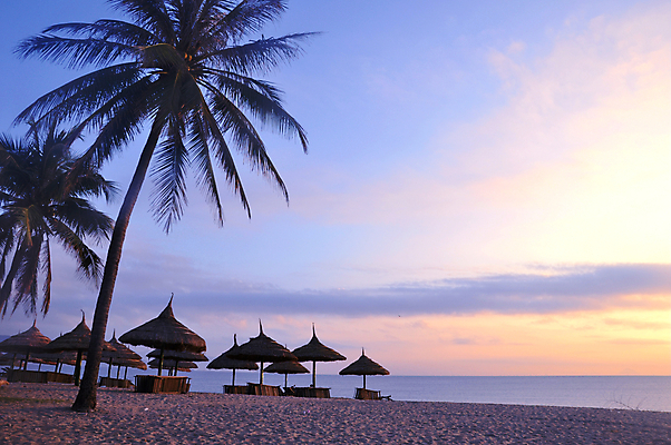 포토 JPG 해외이미지 나무 구름 계절 실루엣 아시아 모래 바다 여행 백그라운드 오렌지 우산 자연 벽지 하늘 아침 날씨 휴가 손바닥 풍경 사람없음 야외 물 여름 파란색 반사 평화 일출 황혼 일몰 새벽 황금 저녁 베트남 장면 코코넛 공상 수평선 해외202004 해외포토 주간 자연요소 식물 손 나라 컬러 컨셉 과일 촬영기법 노을 동남아시아 야간 생태계 파일형식 이미지허브