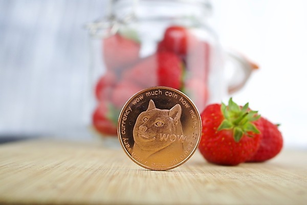 포토 JPG 해외이미지 열매 음식 돈 과일 딸기 통 요리 사람없음 금융 저축 황금 맛 무역 투자 결제 가치 해외202004 해외포토 식물 산업 컨셉 비즈니스 경제 재산 파일형식 이미지허브