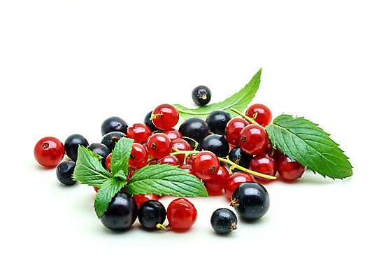 포토 JPG 해외이미지 식기 잡화 열매 음식 다이어트 과일 재료 탁자 디저트 건강 사람없음 빨간색 초록색 주방 검은색 식사 어둠 흰색 나뭇가지 신선 달콤 맛 다발 먹기 오브젝트 싱글 상쾌 유기농 내추럴 건포도 고립 숙성 해외202004 해외포토 나무 식물 웰빙 감정 컬러 가구 컨셉 모션 포도 건과일 파일형식 이미지허브