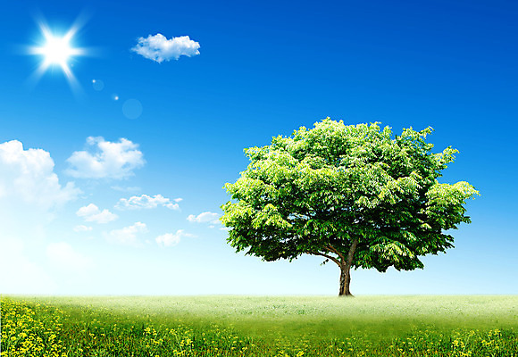 포토 JPG 해외이미지 나무 식물 구름 계절 꽃 호수 백그라운드 단풍 잎 밭 자연 하늘 날씨 추상 사람없음 야외 초록색 물 여름 파란색 빛 강 컬러풀 태양 반사 환경 정원 봄 성장 벚꽃 나뭇가지 신선 체리 숲 유기농 원예 해외202004 해외포토 자연요소 웰빙 컬러 무늬 농업 과일 취미 생태계 파일형식 이미지허브