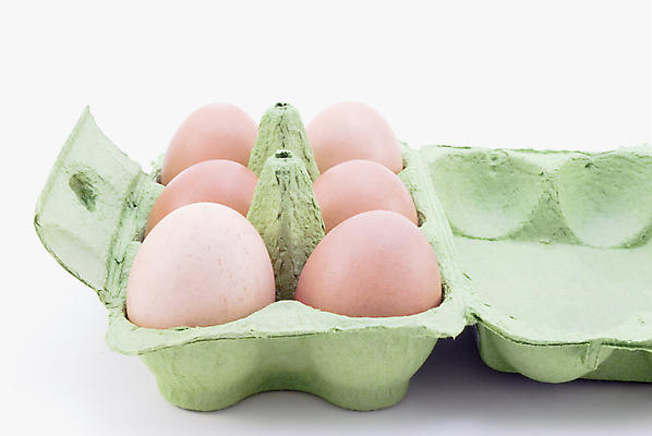 포토 JPG 해외이미지 음식 부활절 쟁반 사람없음 초록색 상자 갈색 껍질 신선 시장 농부 6 흰배경 날것 노른자 판지 해외202004 해외포토 직업 기념일 컬러 백그라운드 숫자 계란 흰색 파일형식 이미지허브