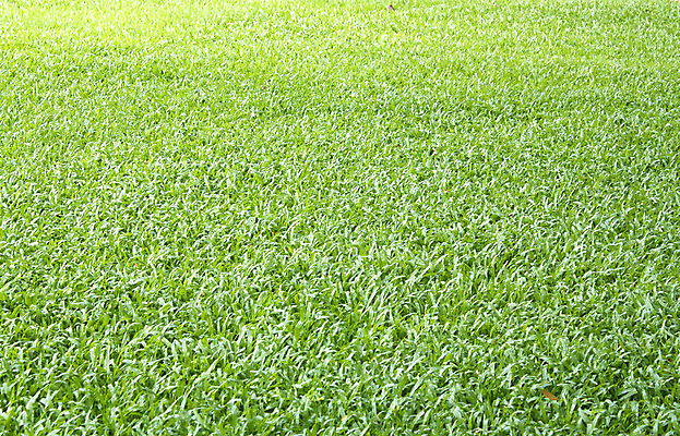 포토 JPG 해외이미지 직업 스포츠 포즈 골프 비즈니스 공 모션 자연 놀이 성공 휴가 휴식 풍경 취미 사람없음 야외 컵 초록색 여름 경쟁 공백 게임 흰색 구멍 발전 골퍼 목표 강의 은퇴 연습 클럽 점수 기어 골프티 때리기 플레이어 해외202004 해외포토 식기 계절 컬러 컨셉 운동선수 골프용품 구기 생태계 파일형식 이미지허브