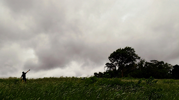 포토 JPG 해외이미지 나무 구름 직업 실루엣 백그라운드 컨셉 밭 손가락 자연 하늘 성공 미래 서기 사람없음 야외 초록색 파란색 우주 봄 가리킴 언덕 골 해외202004 해외포토 자연요소 식물 손 계절 컬러 농업 모션 촬영기법 손짓 생태계 파일형식 이미지허브