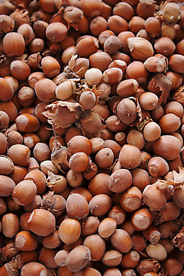 포토 JPG 해외이미지 음식 과일 재료 건조 사람없음 목재 견과류 껍질 먹이 땅콩 아몬드 해외202004 해외포토 나무 파일형식 이미지허브