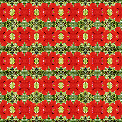 포토 JPG 해외이미지 식물 계절 꽃잎 꽃 백그라운드 잎 꽃무늬 패턴 자연 벽지 추상 사람없음 빨간색 초록색 여름 컬러풀 성장 벚꽃 개화 관목 즐거움 원예 꽃가루 상록수 내추럴 꽃수술 하와이인 히비스커스 해외202004 해외포토 외국인 나무 감정 컬러 무늬 취미 가루 생태계 파일형식 이미지허브