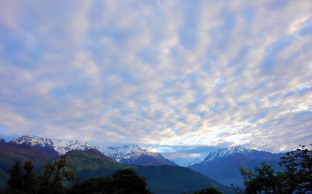 포토 JPG 해외이미지 나무 구름 아시아 여행 백그라운드 자연 하늘 산 파노라마 풍경 경사 사람없음 초록색 물 파란색 빛 걷기 환경 계곡 얼음 등산 트래킹 흰색 시골 저녁 숲 빙하 오르기 네팔 산악지대 웅장함 절정 히말라야 눈내림 해외202004 해외포토 자연요소 식물 나라 컬러 모션 레저 눈_날씨 촬영기법 야간 생태계 파일형식 산맥 이미지허브