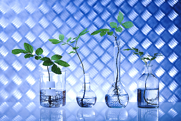 포토 JPG 해외이미지 식물 실내 실험 사람없음 액체 화학 실험실 파란배경 비커 화학실험 둥근플라스크 해외202004 해외포토 과학 백그라운드 실험기구 내부 파란색 플라스크 파일형식 이미지허브