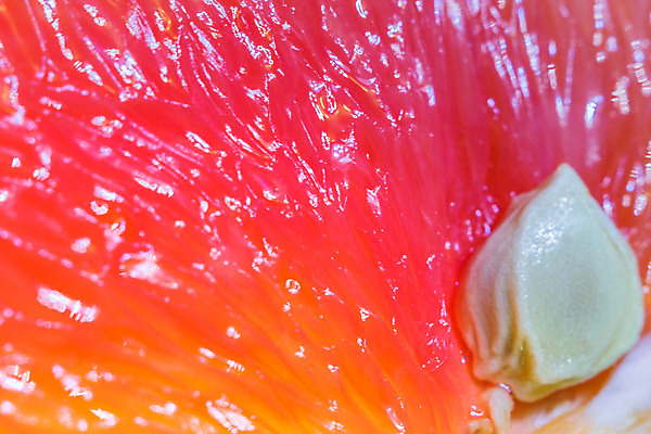 포토 JPG 해외이미지 음식 분홍색 백그라운드 다이어트 오렌지 과일 자연 추상 귤 건강 사람없음 빨간색 노란색 주스 활발 껍질 흰색 신선 닫기 달콤 맛 유기농 질감 날것 슬라이스 내추럴 고립 숙성 해외202004 해외포토 웰빙 음료 컬러 컨셉 무늬 모션 생태계 파일형식 이미지허브