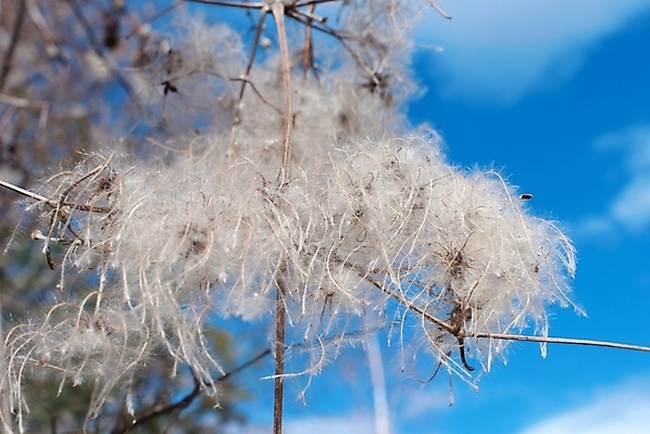 포토 JPG 해외이미지 나무 식물 구름 디자인 백그라운드 컨셉 잎 패턴 자연 부활절 프레임 미술 풍경 사람없음 야외 초록색 여름 햇빛 태양 환경 봄 활발 젖음 흰색 나뭇가지 보호 소프트포커스 숲 청소 클립 문학 자작나무 엘리먼트 효과 해외202004 해외포토 자연요소 계절 기념일 컬러 무늬 문화예술 촬영기법 생태계 파일형식 이미지허브