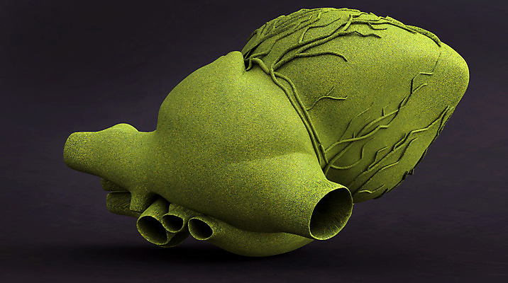 포토 JPG 해외이미지 모양 컨셉 밭 일러스트 자연 추상 아이디어 발렌타인데이 건강 잔디 사람없음 초록색 환경 성장 하트 보호 고립 생태학 해외202004 해외포토 식물 교육 컬러 무늬 농업 데이이벤트 생태계 파일형식 이미지허브