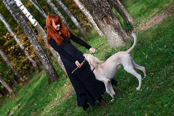 포토 JPG 해외이미지 나무 동물 백인 1 응시 드레스 옷 새끼 자연 놀이 한명 서기 야외 목재 가로 빨간색 초록색 반려동물 검은색 우정 흰색 막대기 개 강아지 숲 작음 사냥개 육식동물 자작나무 주인 대각선 해외202004 해외포토 서양인 식물 시선 선 컬러 재료 포유류 모션 사람 친구 크기 생태계 파일형식 이미지허브