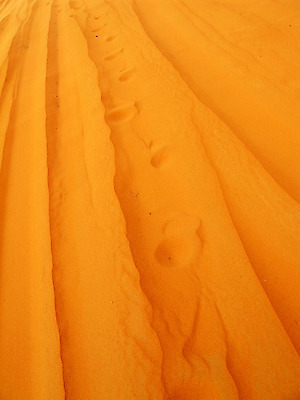 포토 JPG 해외이미지 아시아 물결 모래 여행 백그라운드 패턴 오렌지 자연 건조 풍경 사람없음 빨간색 사막 만 뜨거움 중앙 고독 발자국 땅 모래언덕 사파리 질감 지역 아라비아 사하라 사우디아라비아 무인 예멘 오프로드 잔물결 해외202004 해외포토 감정 나라 컬러 무늬 과일 중동 자국 아프리카 언덕 생태계 파일형식 이미지허브