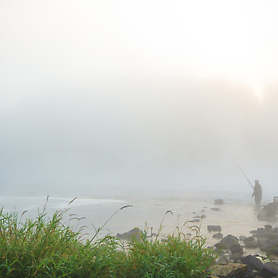 포토 JPG 해외이미지 나무 식물 구름 계절 공원 실루엣 여행 백그라운드 밭 오렌지 자연 하늘 휴가 따뜻함 그림자 풍경 사람없음 야외 빨간색 초록색 여름 파란색 빛 햇빛 태양 노란색 평화 일출 환경 침묵 황혼 일몰 새벽 황금 저녁 숲 장면 내추럴 수평선 해외202004 해외포토 자연요소 공공시설 컬러 컨셉 농업 과일 촬영기법 노을 소리 야간 생태계 파일형식 이미지허브