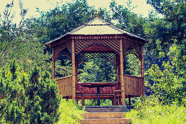 포토 JPG 해외이미지 나무 전통 외관 여행 백그라운드 건축양식 자연 지붕 추상 주택 풍경 사람없음 건물 목재 시골 숲 오두막 시골집 통나무 내추럴 해외202004 해외포토 식물 건축물 건축 무늬 재료 생태계 파일형식 이미지허브