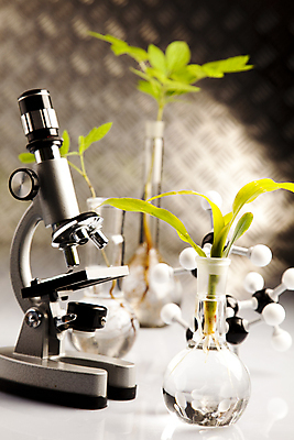 포토 JPG 해외이미지 식물 실내 현미경 실험 사람없음 아웃포커스 화학 실험실 화학실험 분자구조모형 해외202004 해외포토 과학 촬영기법 실험기구 내부 모형 분자구조 파일형식 이미지허브