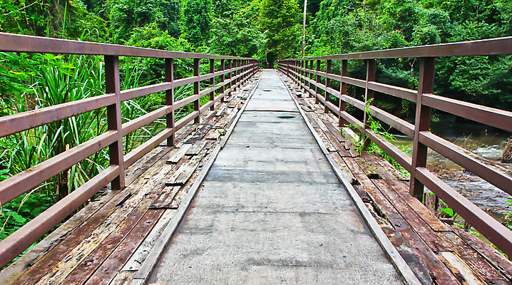 포토 JPG 해외이미지 나무 식물 공원 길 여행 잎 태국 자연 산 국립공원 동양인 풍경 사람없음 야외 목재 초록색 하이킹 세계문화유산 신선 숲 오솔길 방향 장면 단계 옛날 해외202004 해외포토 공공시설 아시아 컬러 재료 레저 인종 문화재 생태계 파일형식 이미지허브